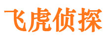 武侯市私家侦探